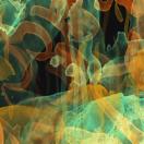 StillCut_0