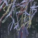 StillCut_2