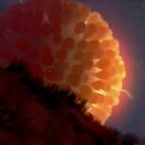 StillCut_0