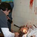 StillCut_0
