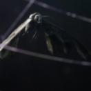 StillCut_1