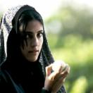 StillCut_1
