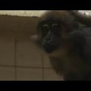 StillCut_1