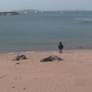 StillCut_0