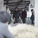 bodostill_03.jpg