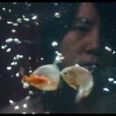 StillCut_0