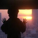 StillCut_0