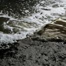 StillCut_1