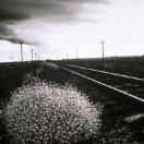 StillCut_0