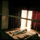 StillCut_1