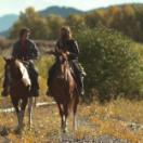 StillCut_1