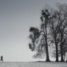 StillCut_2