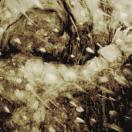 StillCut_0