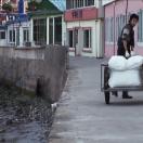 StillCut_1