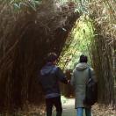 StillCut_5