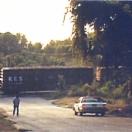 StillCut_0