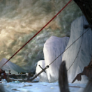 StillCut_1