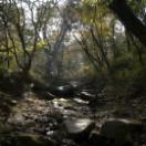 StillCut_6