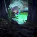 StillCut_0