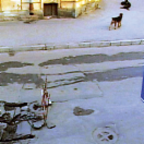 StillCut_0