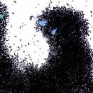 StillCut_2