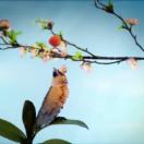 StillCut_2