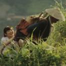 StillCut_0