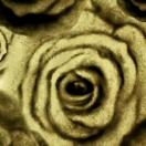 StillCut_2