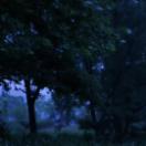 StillCut_0
