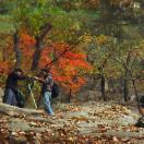 StillCut_7