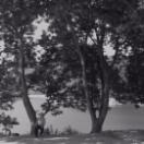 StillCut_0