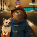 StillCut_0