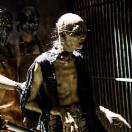 StillCut_9