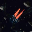 StillCut_6