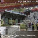 StillCut_20