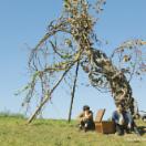 StillCut_4
