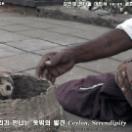 StillCut_5