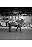 Poster_1
