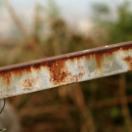 StillCut_5