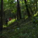 StillCut_0