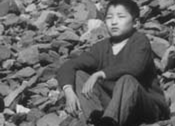 11세
