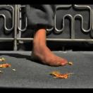 StillCut_1
