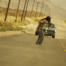 roadkill.jpg