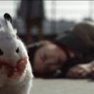 StillCut_0