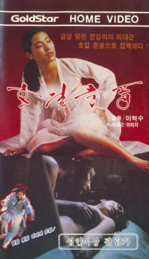 호걸춘풍