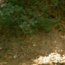 StillCut_3
