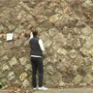 StillCut_0
