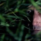 StillCut_4