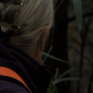 StillCut_0
