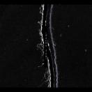 StillCut_1